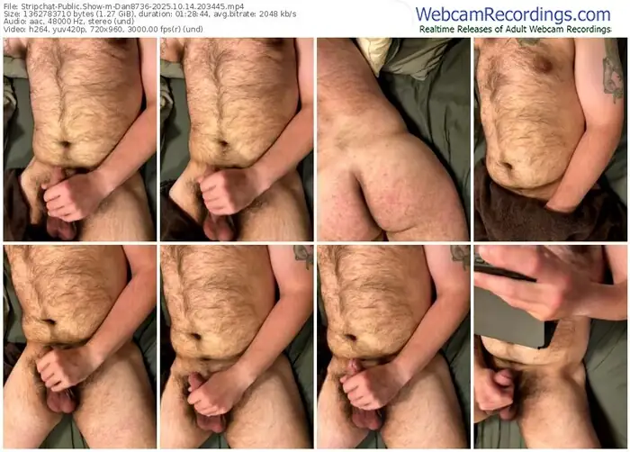 2025/10/14/stripchat-dan8736-20-34-45