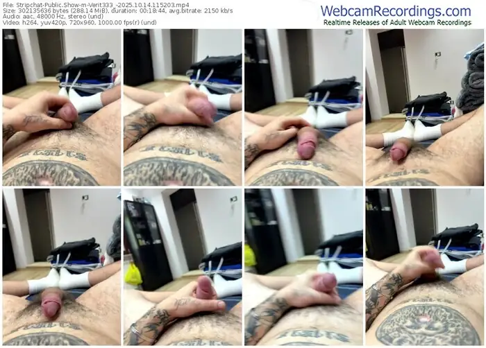 2025/10/14/stripchat-verit333_-11-52-03