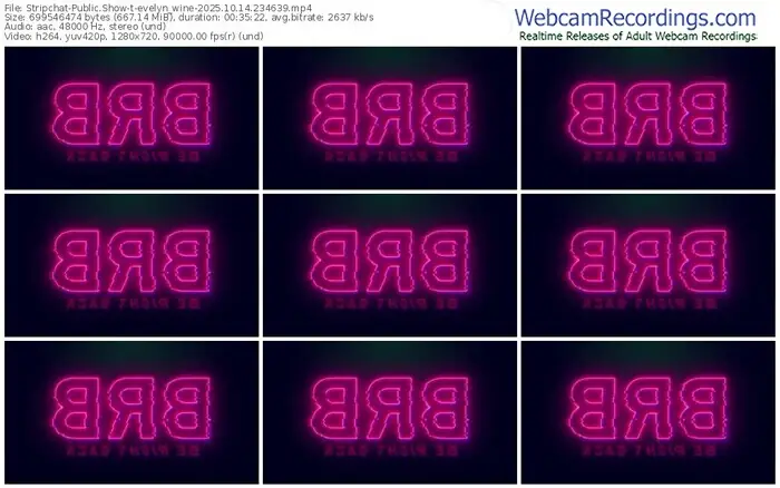 2025/10/14/stripchat-evelyn_wine-23-46-39