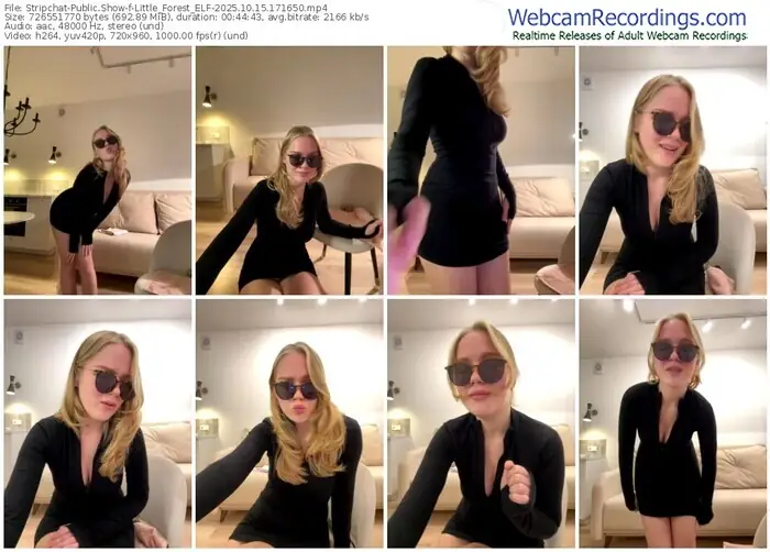 2025/10/15/stripchat-little_forest_elf-17-16-50