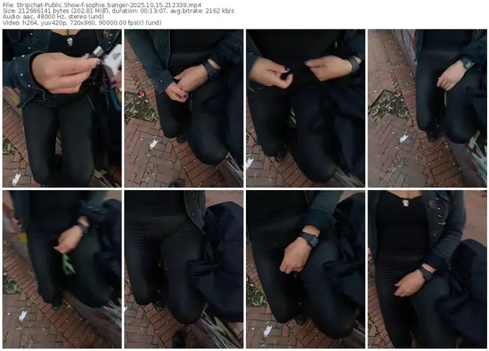2025/10/15/stripchat-sophie_banger-21-23-39