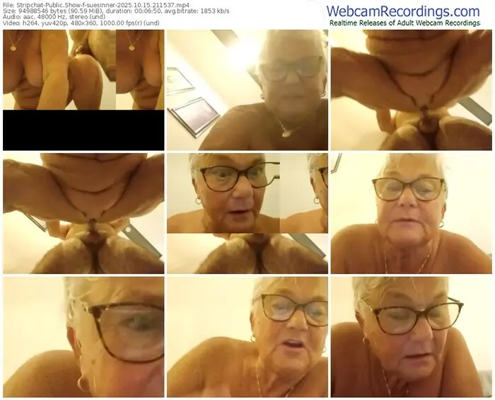 2025/10/15/stripchat-suesinner-21-15-37
