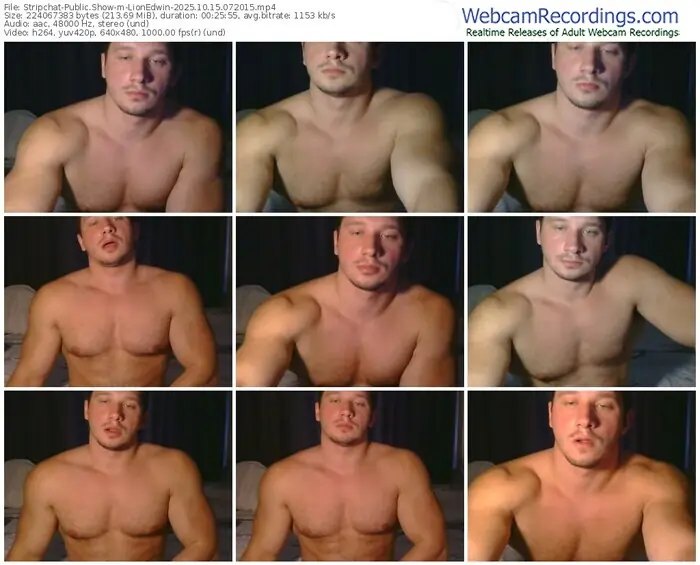 2025/10/15/stripchat-lionedwin-07-20-15