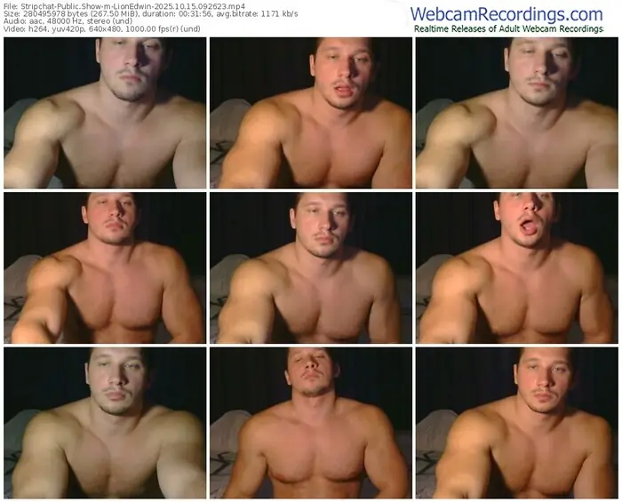 2025/10/15/stripchat-lionedwin-09-26-23