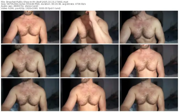 2025/10/15/stripchat-mr_beef-17-39-01