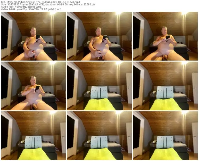 2025/10/15/stripchat-the_oldbull-19-17-41