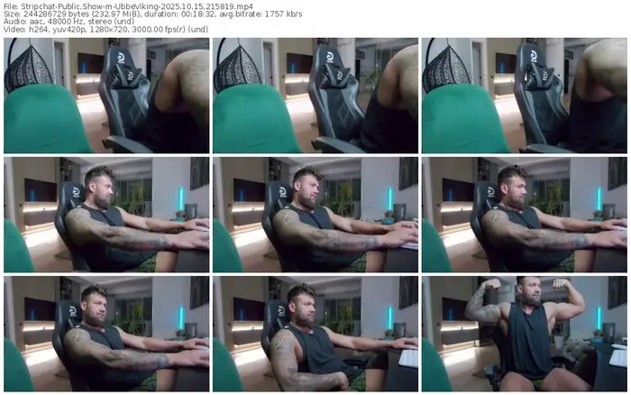 2025/10/15/stripchat-ubbeviking-21-58-19