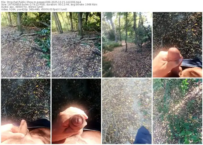 2025/10/15/stripchat-pegaso369-14-22-38