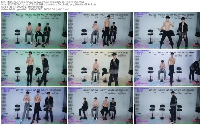 2025/10/15/stripchat-sweetboys666-13-17-57
