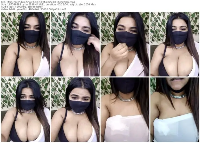 2025/10/16/stripchat-bold-cat-22-27-07