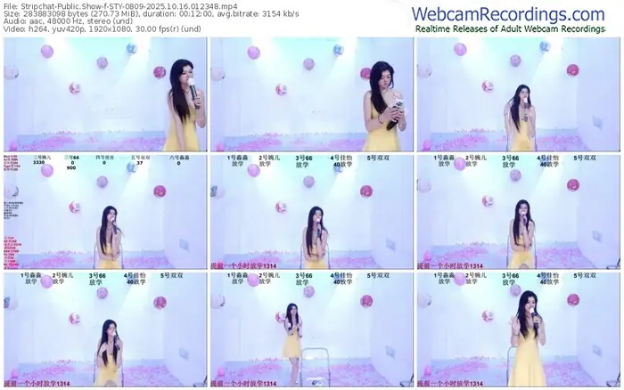 2025/10/16/stripchat-sty-0809-01-23-48