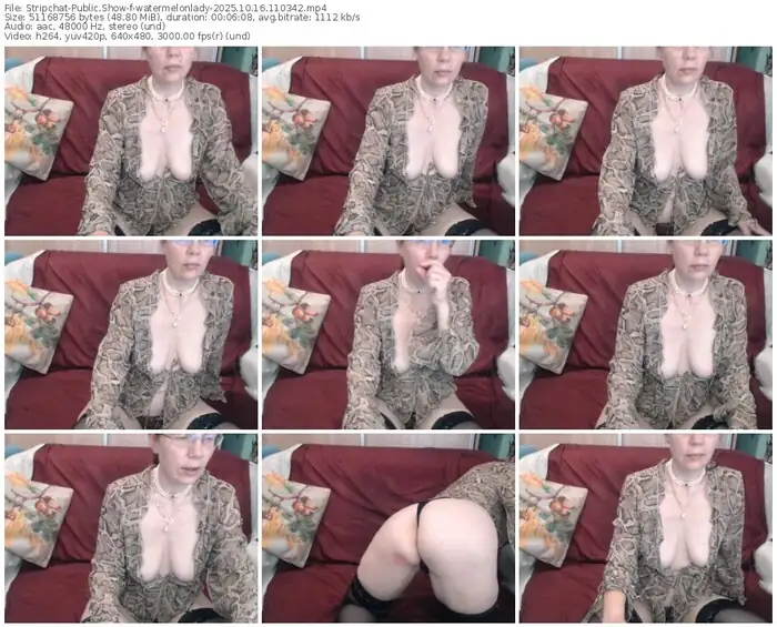 2025/10/16/stripchat-watermelonlady-11-03-42