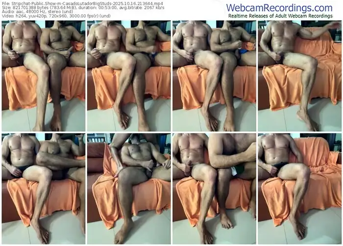 2025/10/16/stripchat-casadolutadorbigstuds-21-36-44