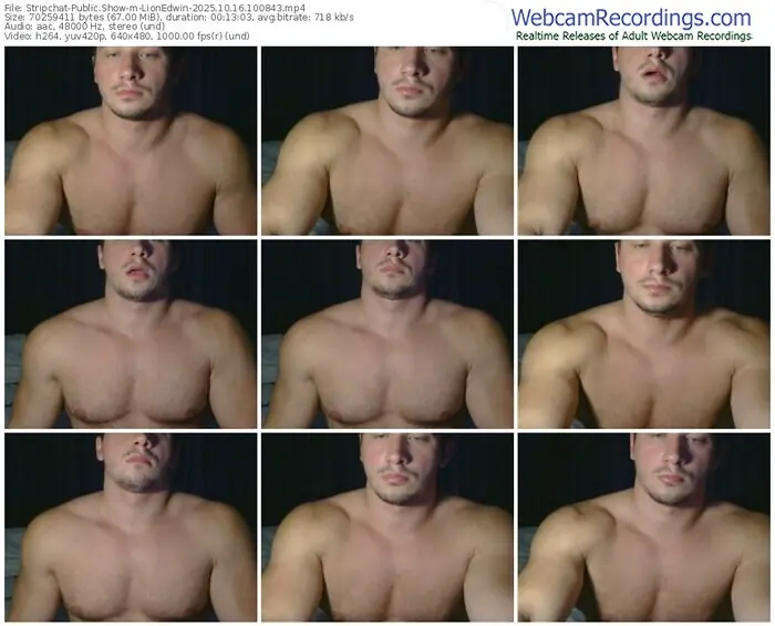2025/10/16/stripchat-lionedwin-10-08-43