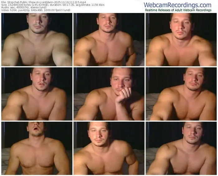 2025/10/16/stripchat-lionedwin-11-12-15