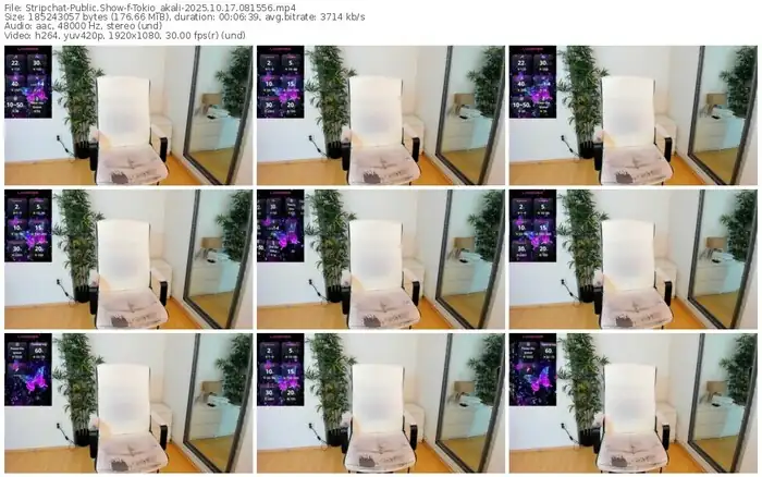 2025/10/17/stripchat-tokio_akali-08-15-56