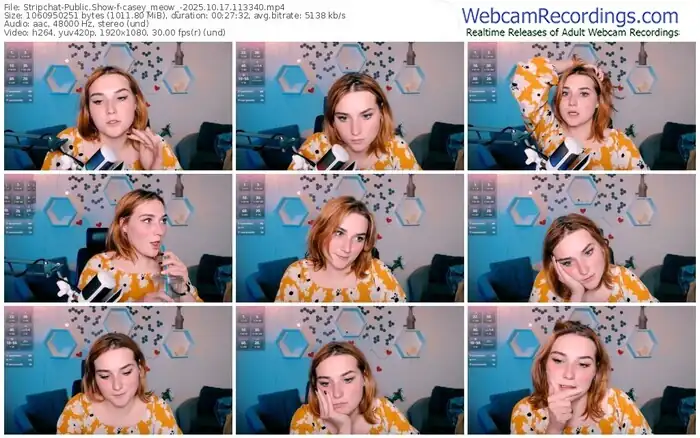 2025/10/17/stripchat-casey_meow_-11-33-40