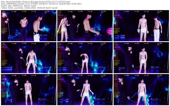 2025/10/17/stripchat-boygayhouse-12-35-33