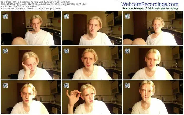 2025/10/17/stripchat-ron_vils-06-46-30