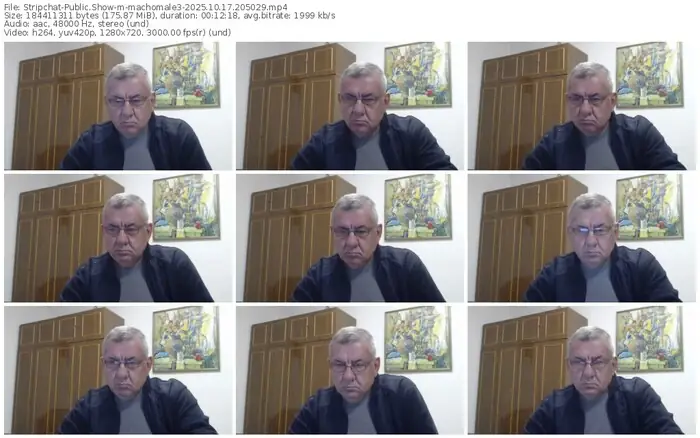 2025/10/17/stripchat-machomale3-20-50-29