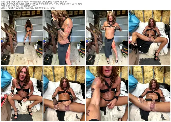 2025/10/17/stripchat-orlandi480-20-45-46