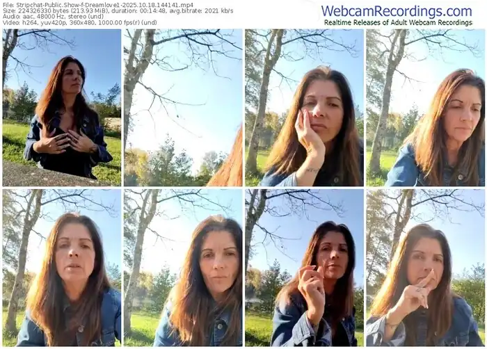 2025/10/18/stripchat-dreamlove1-14-41-41