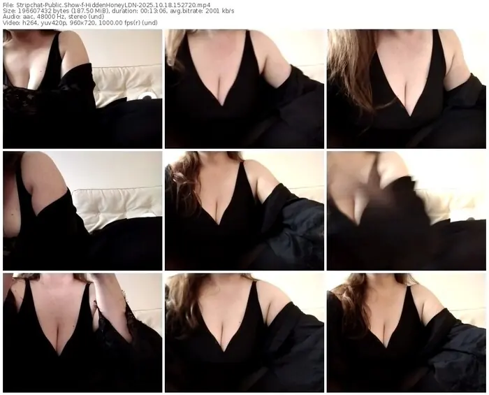2025/10/18/stripchat-hiddenhoneyldn-15-27-20