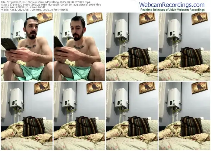 2025/10/18/stripchat-palmeddwelling-17-58-25