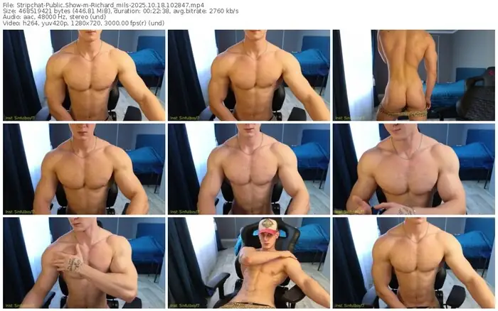 2025/10/18/stripchat-richard_mils-10-28-47