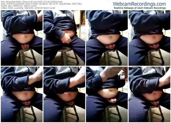2025/10/18/stripchat-ficosi-15-25-02