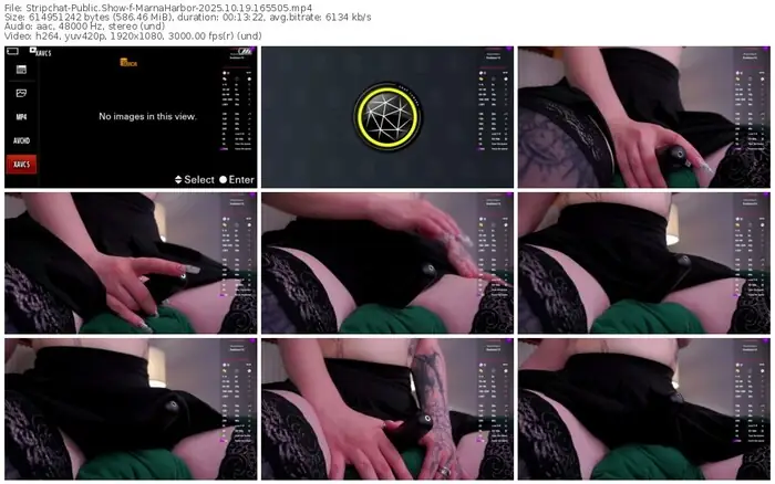 2025/10/19/stripchat-marnaharbor-16-55-05