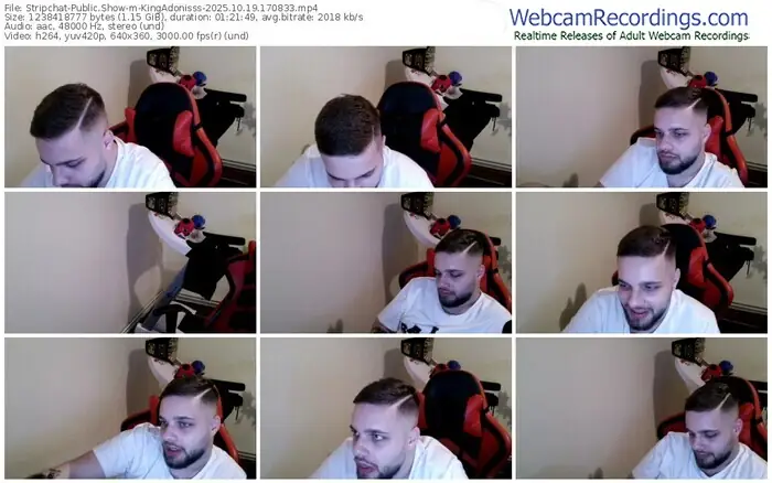 2025/10/19/stripchat-kingadonisss-17-08-33