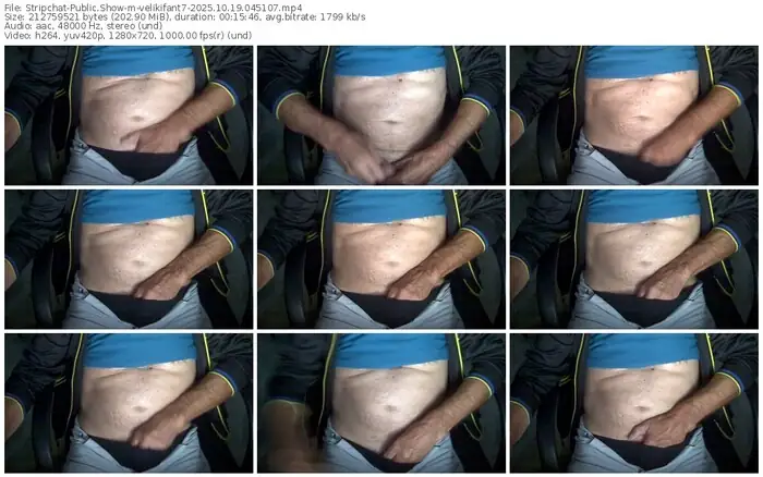 2025/10/19/stripchat-velikifant7-04-51-07