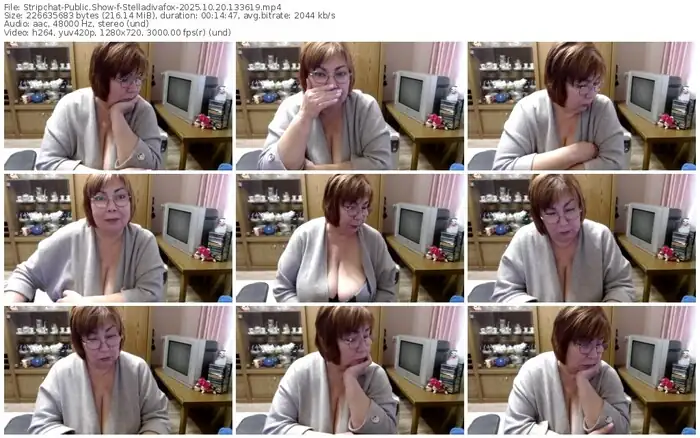 2025/10/20/stripchat-stelladivafox-13-36-19