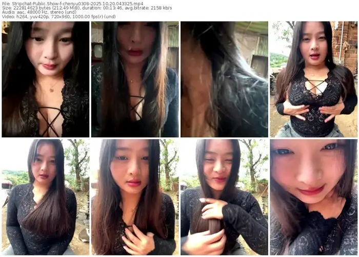 2025/10/20/stripchat-chenyu0308-04-33-25
