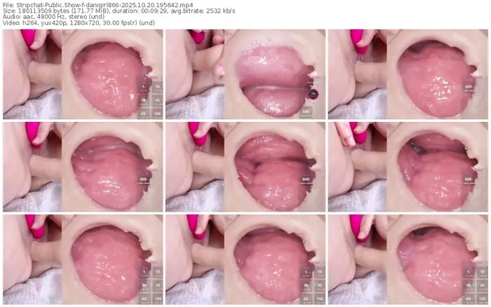 2025/10/20/stripchat-danigirl866-19-56-42