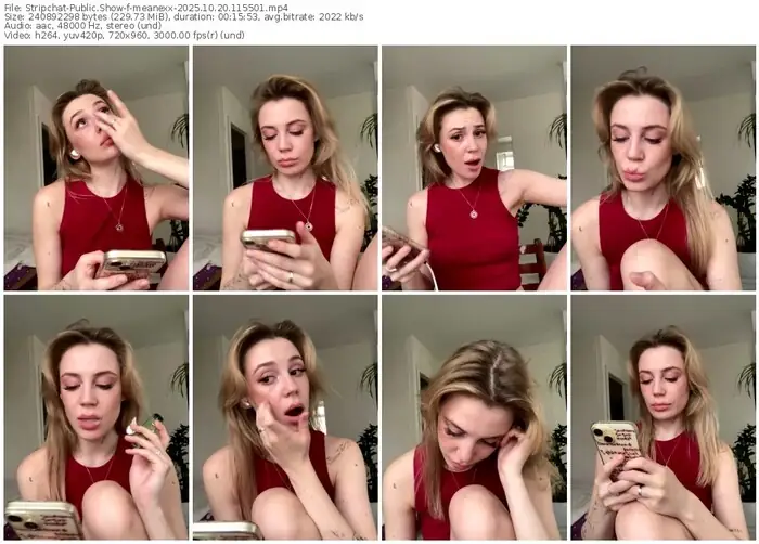 2025/10/20/stripchat-meanexx-11-55-01