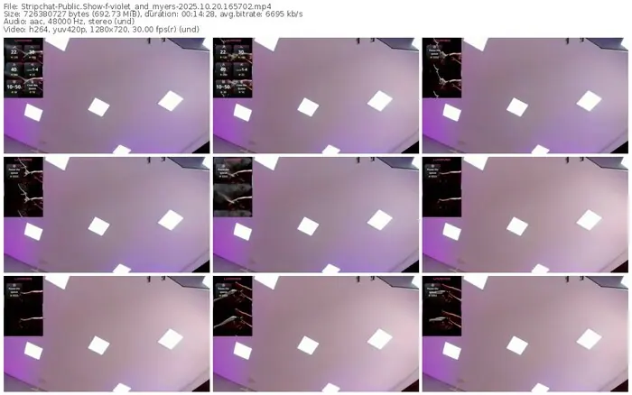 2025/10/20/stripchat-violet_and_myers-16-57-02