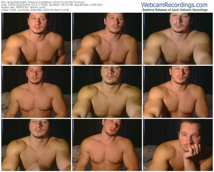 2025/10/20/stripchat-lionedwin-09-17-52