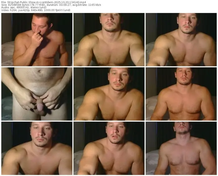 2025/10/20/stripchat-lionedwin-13-41-40