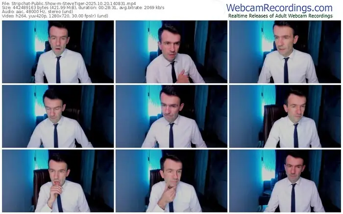 2025/10/20/stripchat-stevetiger-14-08-31
