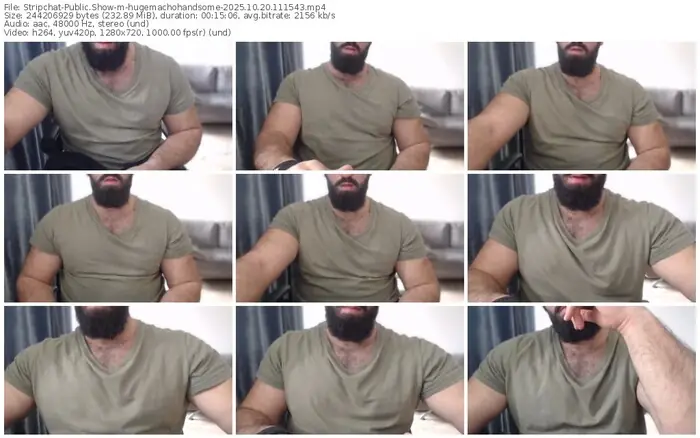 2025/10/20/stripchat-hugemachohandsome-11-15-43