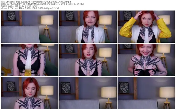 2025/10/21/stripchat-marnaharbor-14-39-32