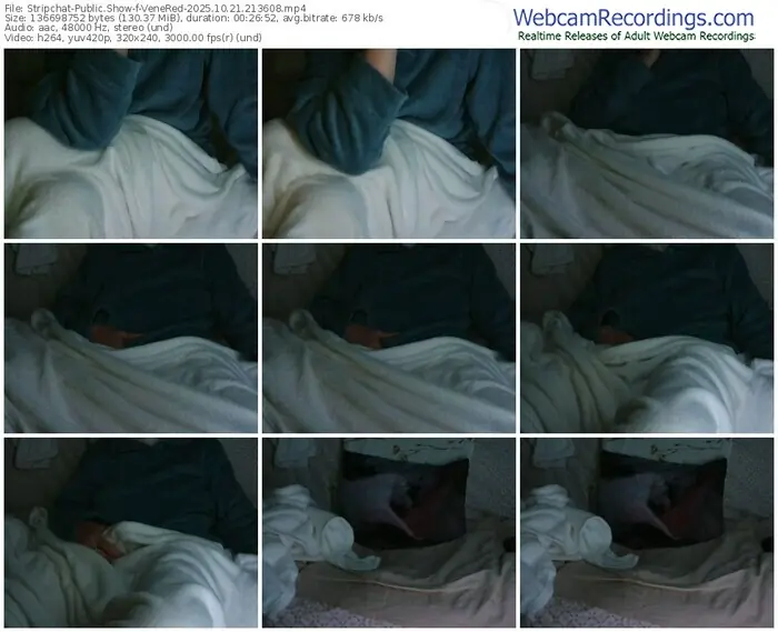 2025/10/21/stripchat-venered-21-36-08