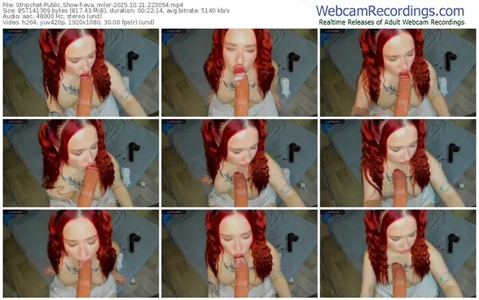 2025/10/21/stripchat-eva_miler-22-30-54