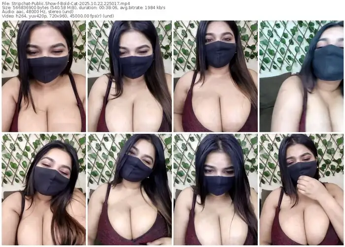 2025/10/22/stripchat-bold-cat-22-50-17