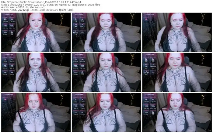 2025/10/22/stripchat-gotic_pie-17-14-47