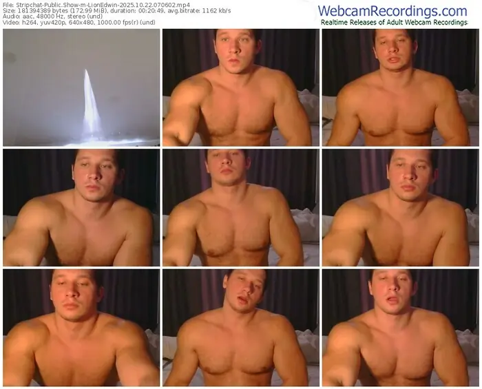 2025/10/22/stripchat-lionedwin-07-06-02