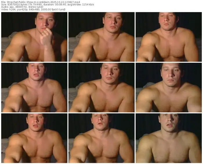 2025/10/22/stripchat-lionedwin-12-38-27
