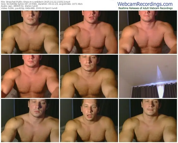 2025/10/22/stripchat-lionedwin-13-25-13